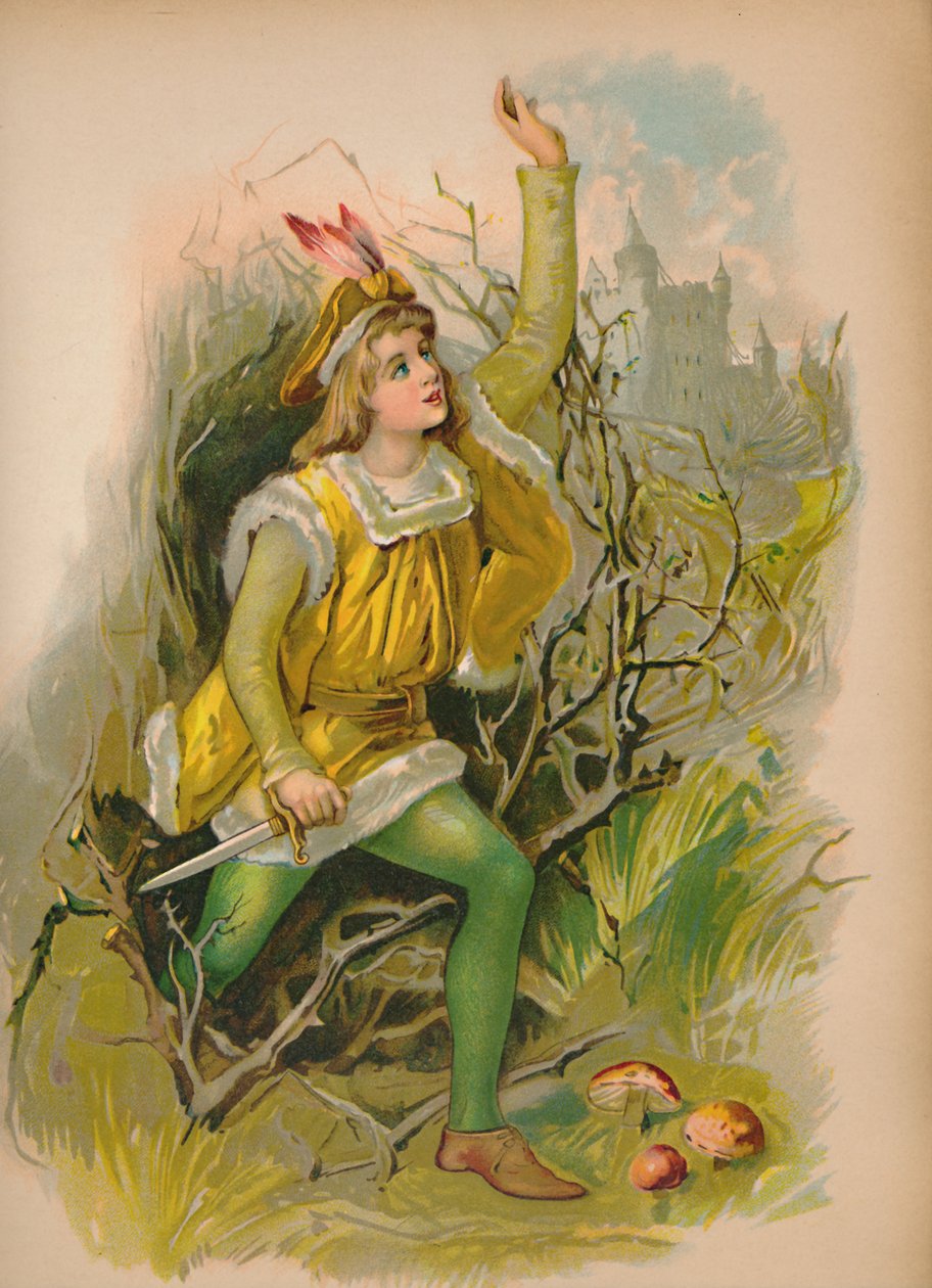 Tornerose, 1903 af Unbekannt