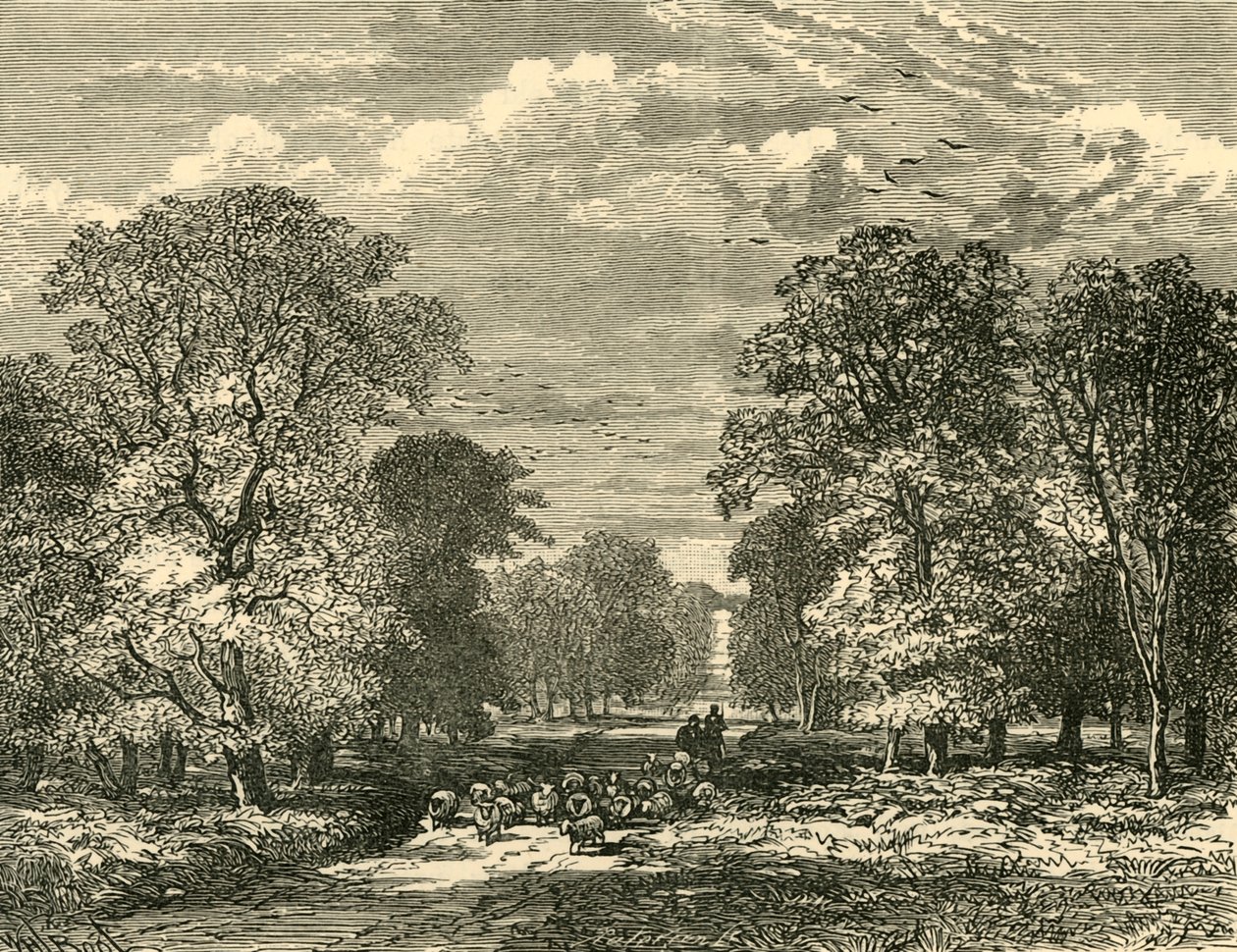 Southampton Road, 1898. af Unbekannt