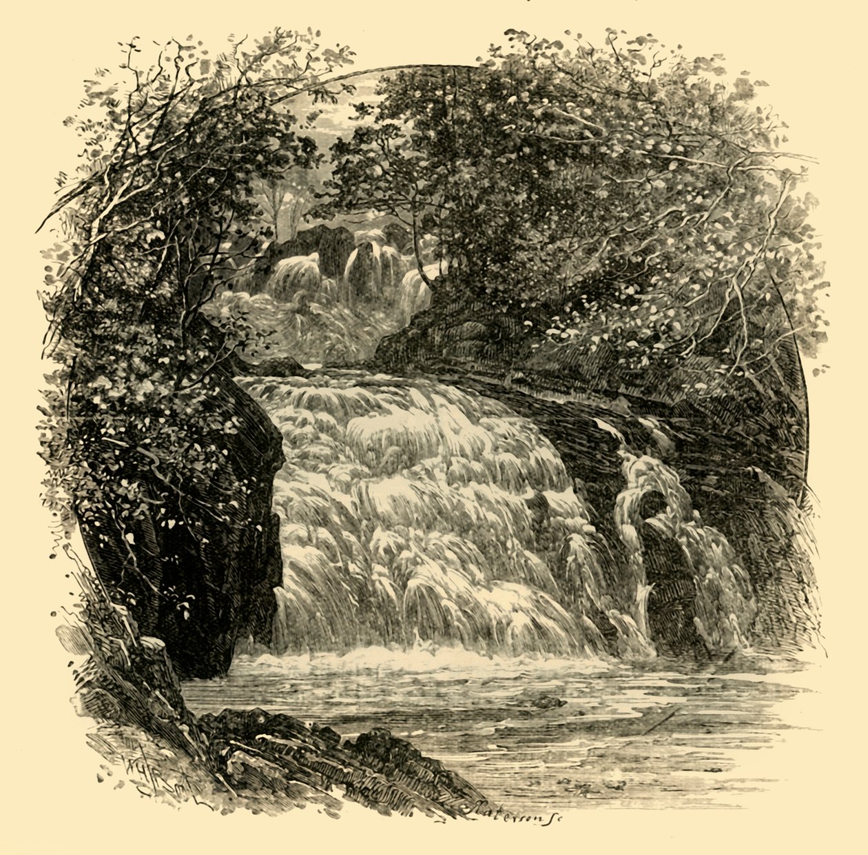 Svalefaldene, 1898. af Unbekannt