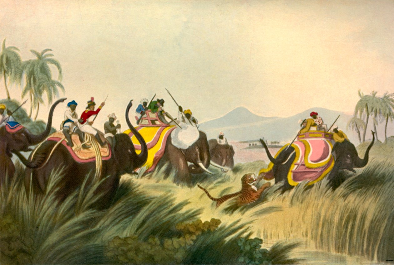 Tigerjagten, c1808, 1901. af Unbekannt
