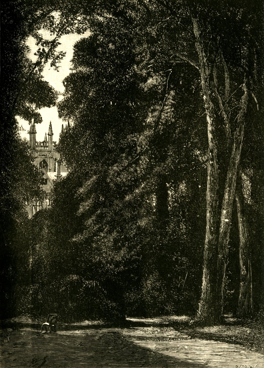 The Tower of Merton, fra haven, 1898. af Unbekannt