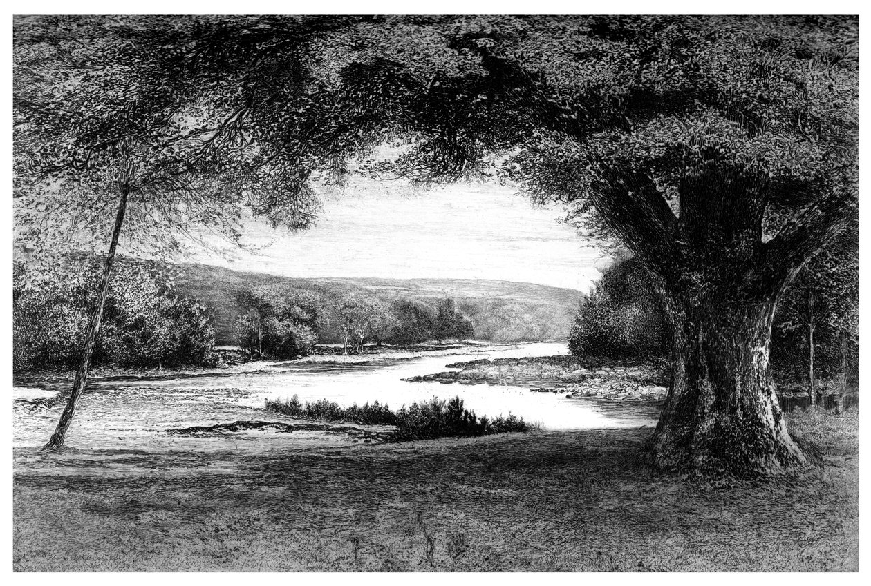 The Vale of Avoca, 1895 af Unbekannt