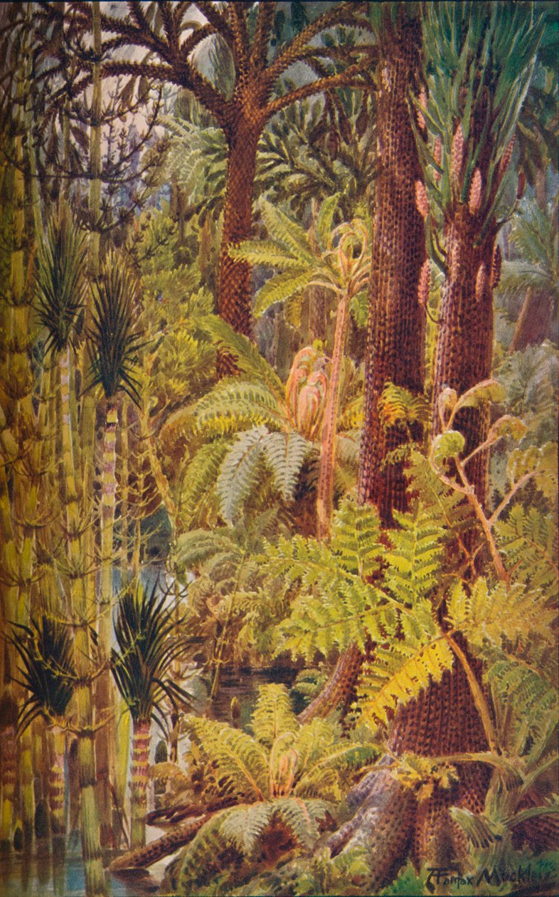 Den gigantiske vegetation i karbontiden, 1907. af Unbekannt