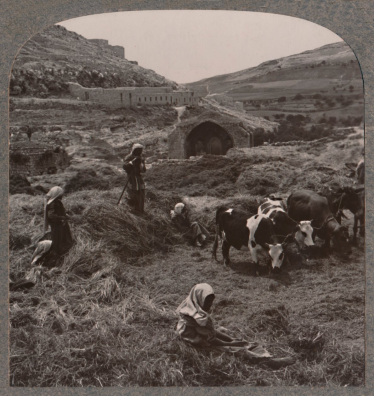 Tærskekorn nær Jacobs Brønd, ca. 1900 af Unbekannt