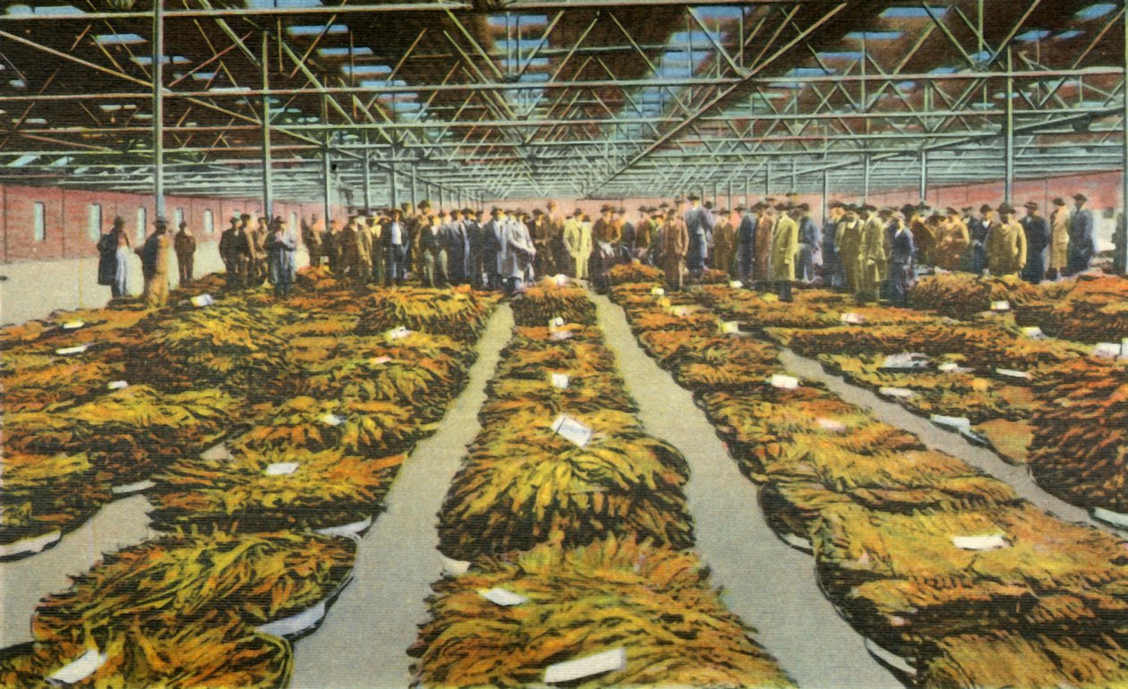 Tobakssalg, en altid interessant scene, 1942. af Unbekannt
