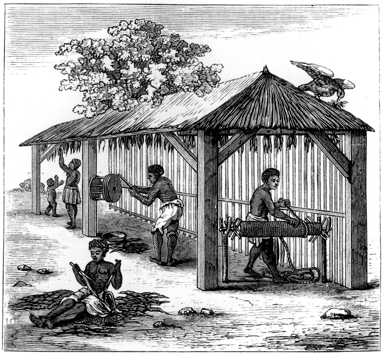 Tobaksforberedelse, 1873 af Unbekannt