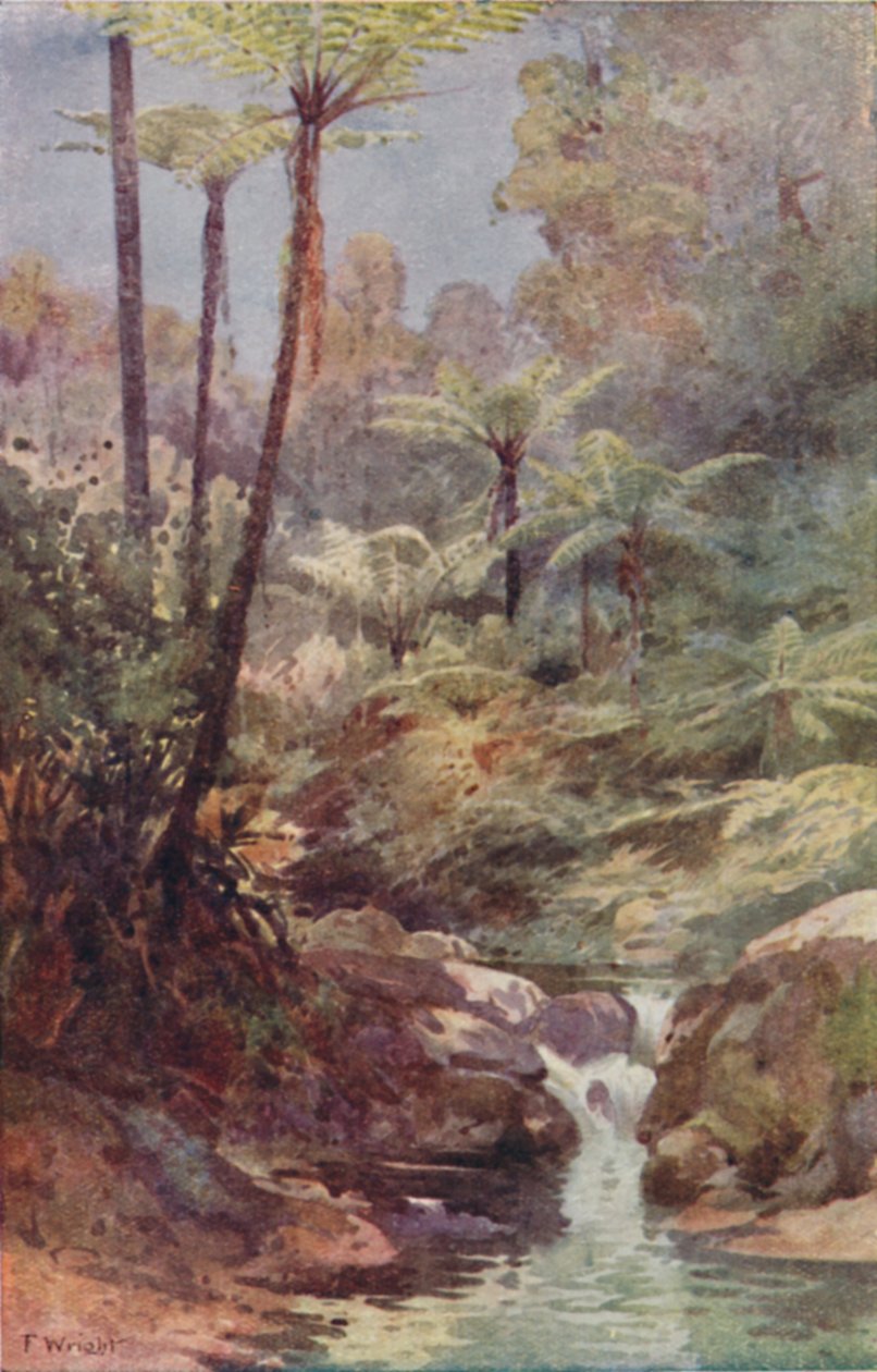 Træbregner, 1923. af Unbekannt