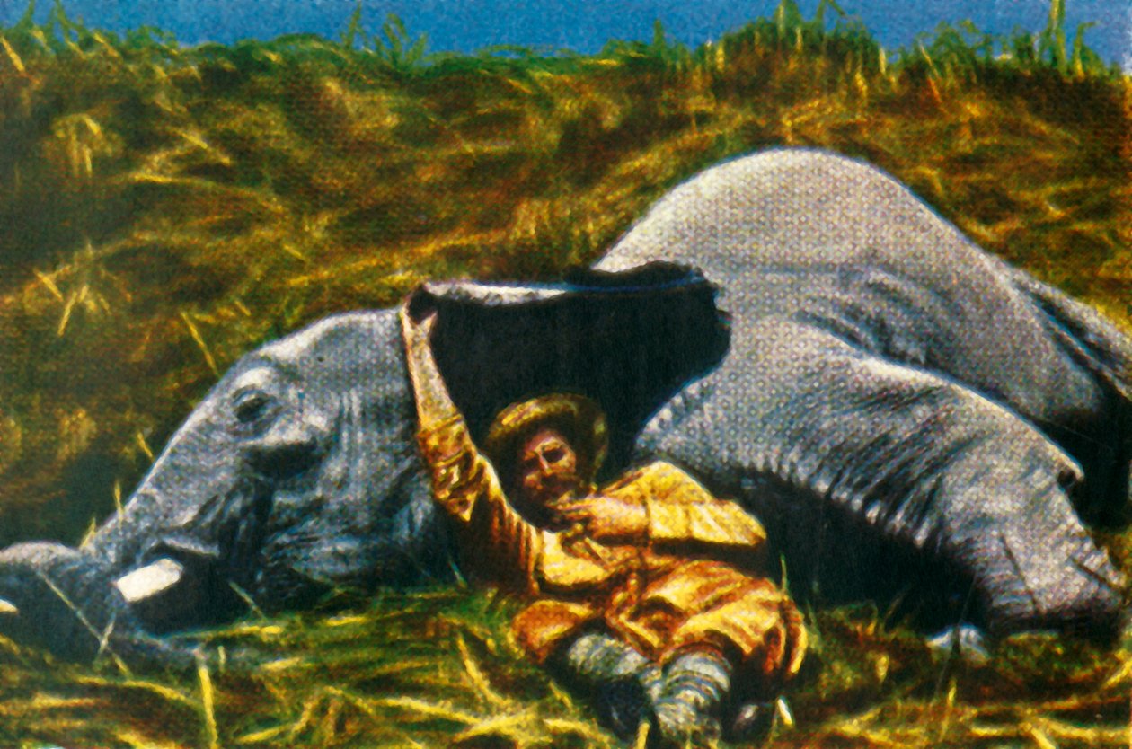 Trofæjæger med død elefant, c1928. af Unbekannt