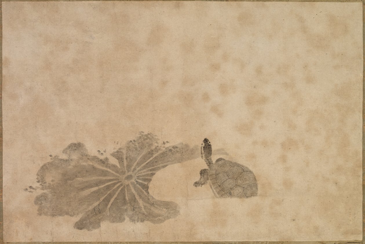 Skildpadde i en Lotusdam, 1700-tallet. af Unbekannt
