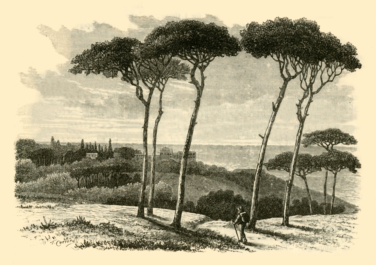 Tusculum, 1890. af Unbekannt