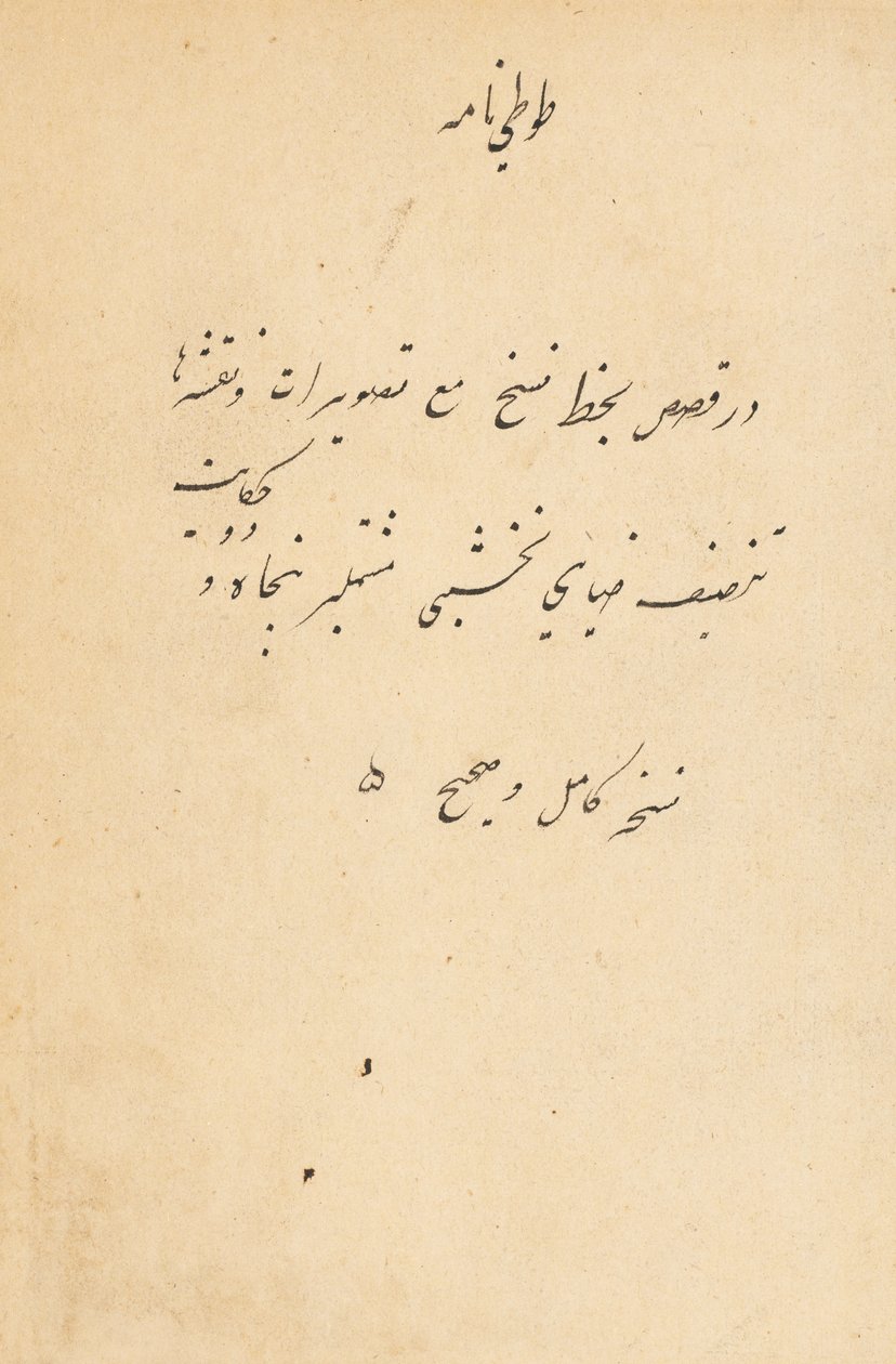 Tuti-Nama fortællinger om en papegøje, ca. 1560. af Unbekannt