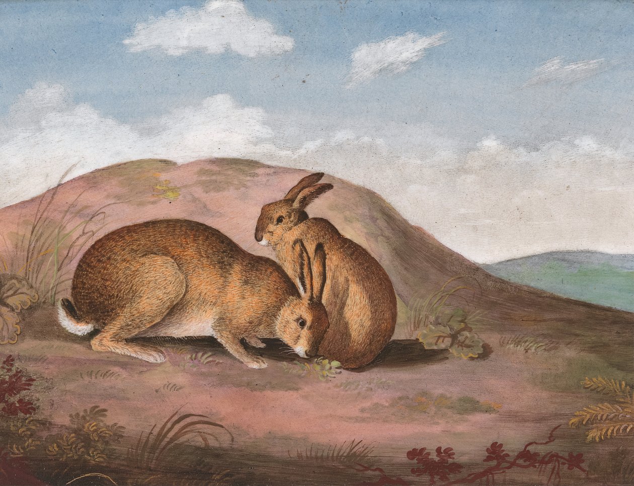 To harer: På en bakkeskråning, ca. 1805. af Unbekannt
