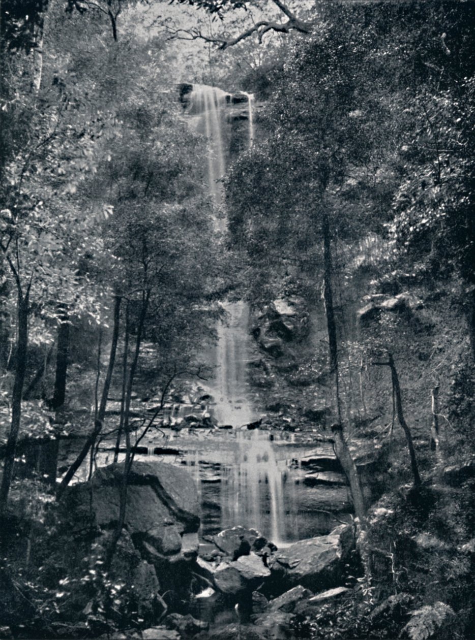 Valley of the Waters, Blue Mountains, c1900. af Unbekannt