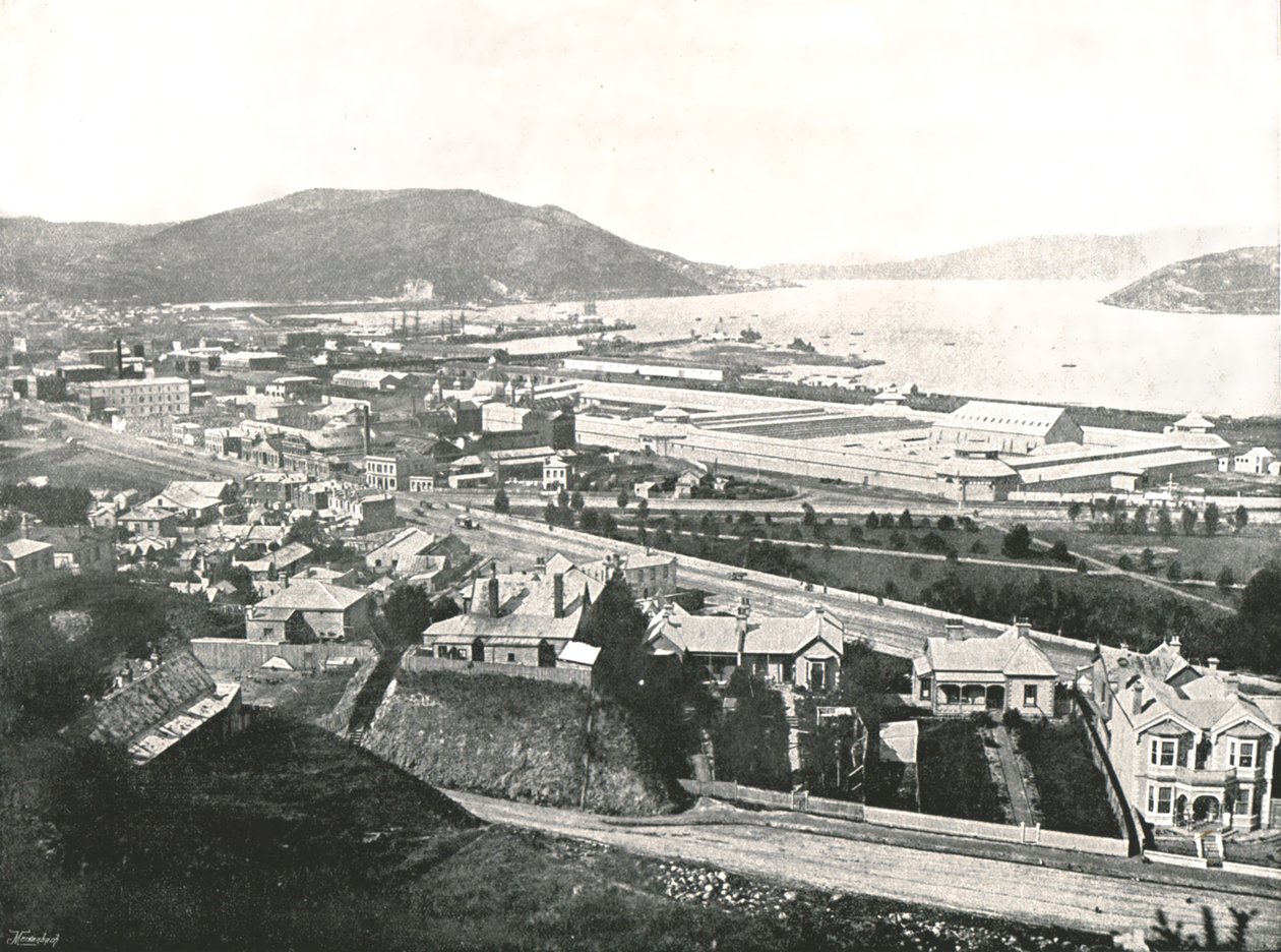 Udsigt fra Maitland Street, Dunedin, New Zealand, 1895. af Unbekannt