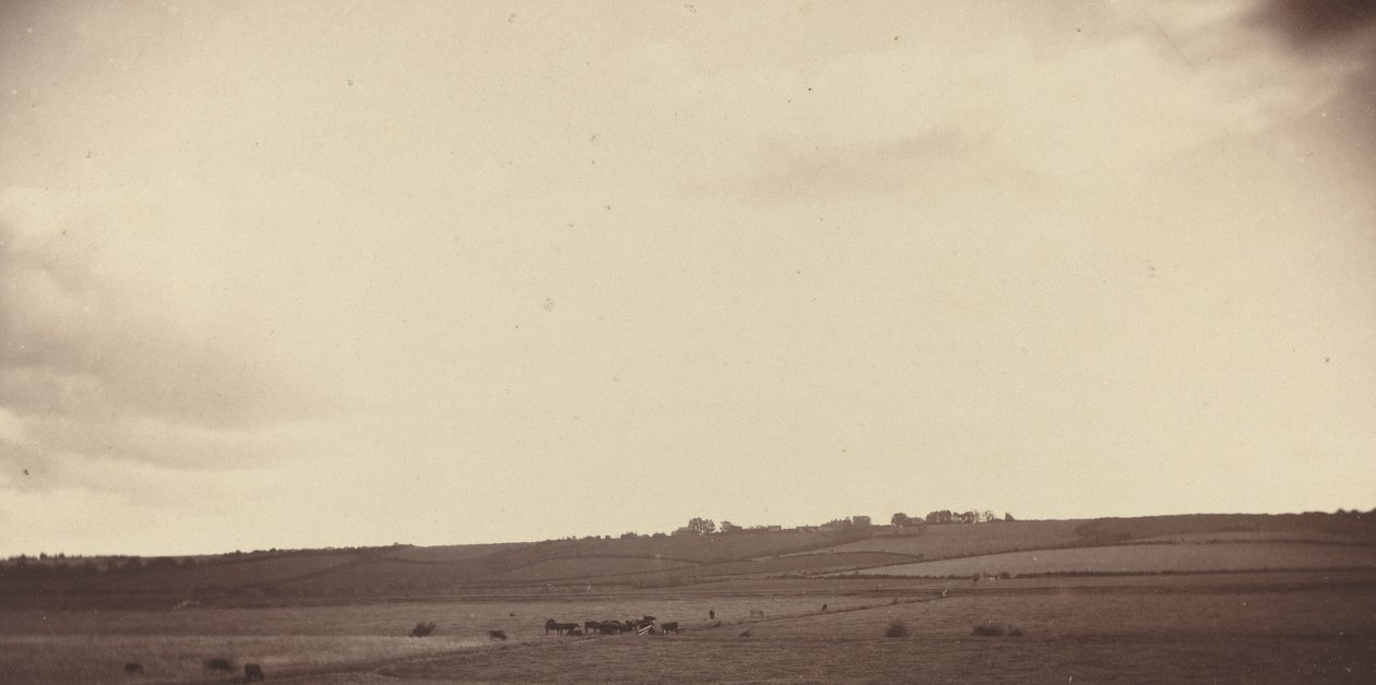 Udsigt over marker med køer, 1850