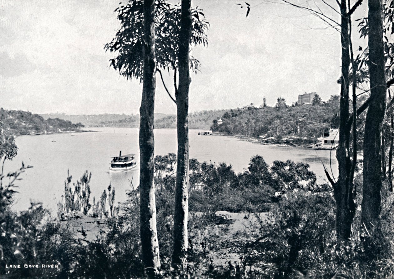 Udsigt over Lane Cove River, c1900. af Unbekannt
