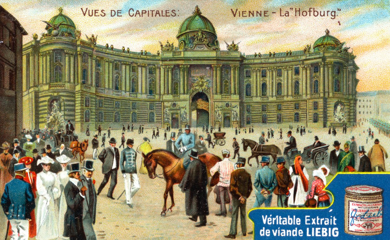 Udsigt over hovedstæder: Hofburg, Wien, ca. 1900 af Unbekannt