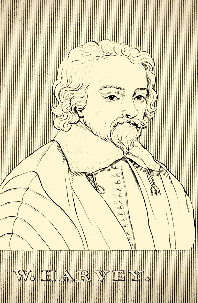 W. Harvey, 1578-1657, 1830. af Unbekannt