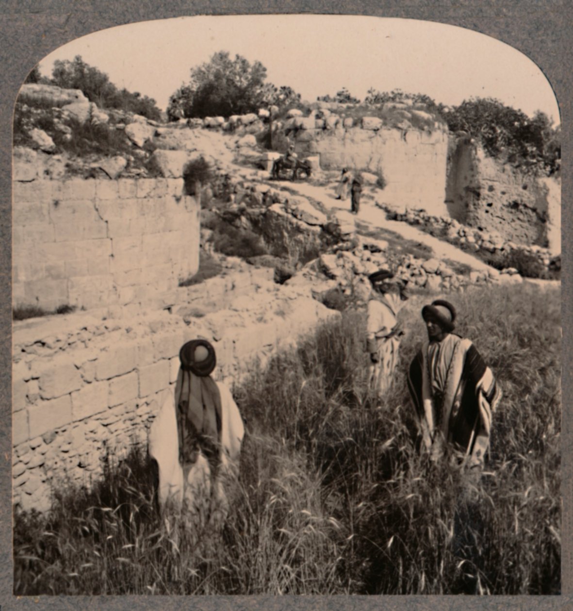 Augustus mure, Samaria, ca. 1900 af Unbekannt