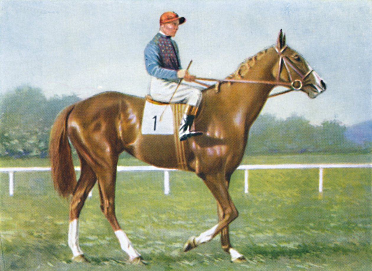 Waterbird, Jockey: E. Smith, 1939 af Unbekannt