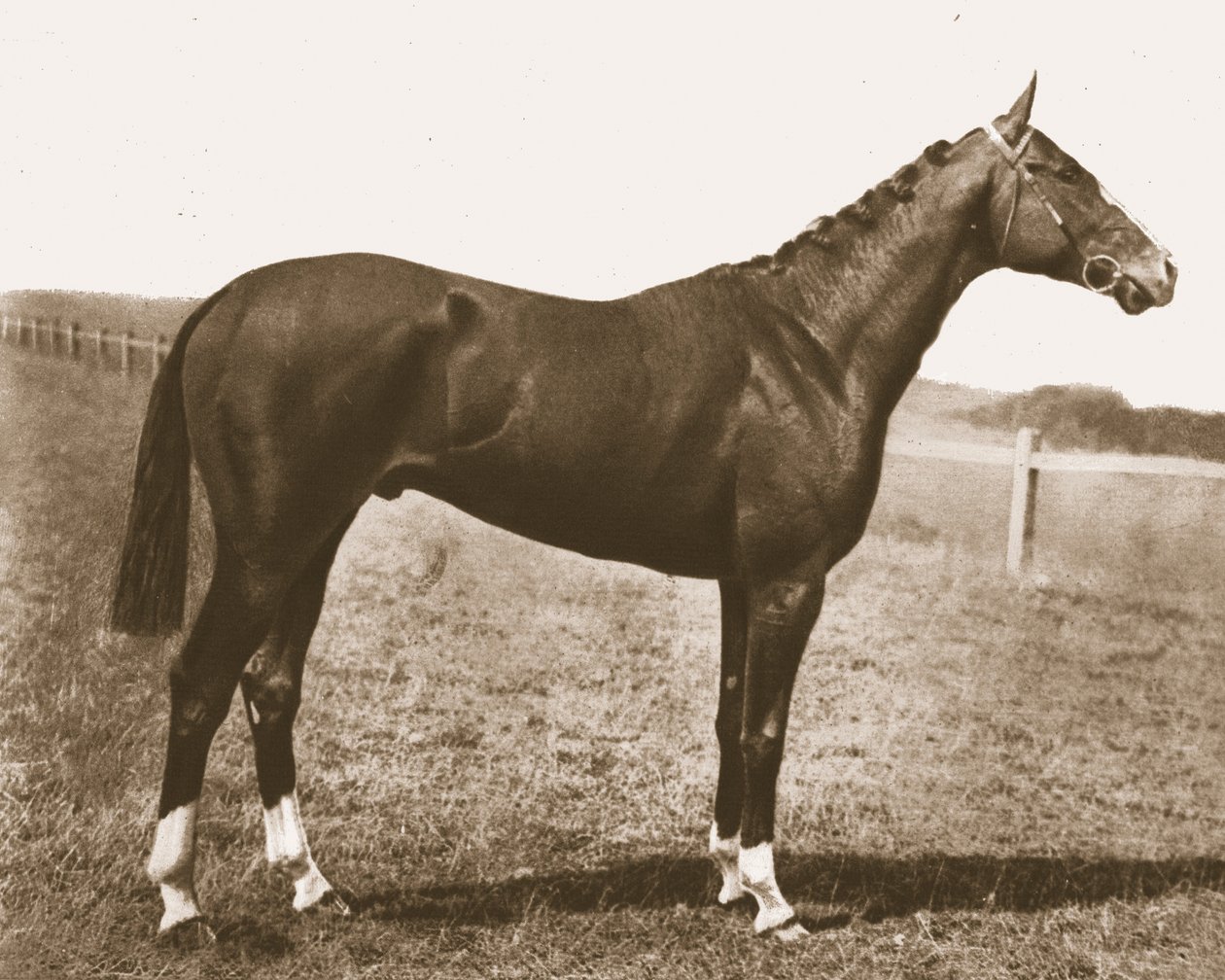 Weathercock, 1911. af Unbekannt