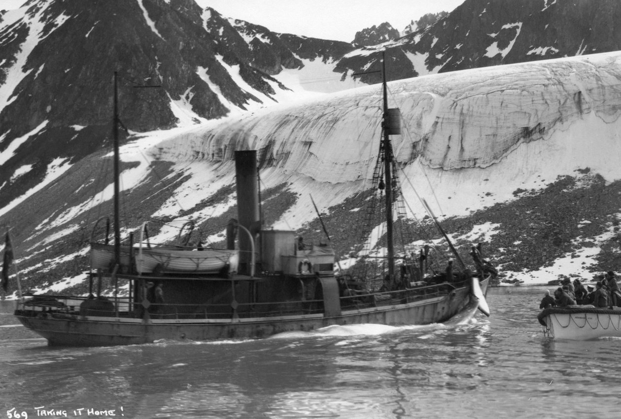 Hvalfangst, Magdalene Bay, Spitzbergen, Norge, 1929 af Unbekannt