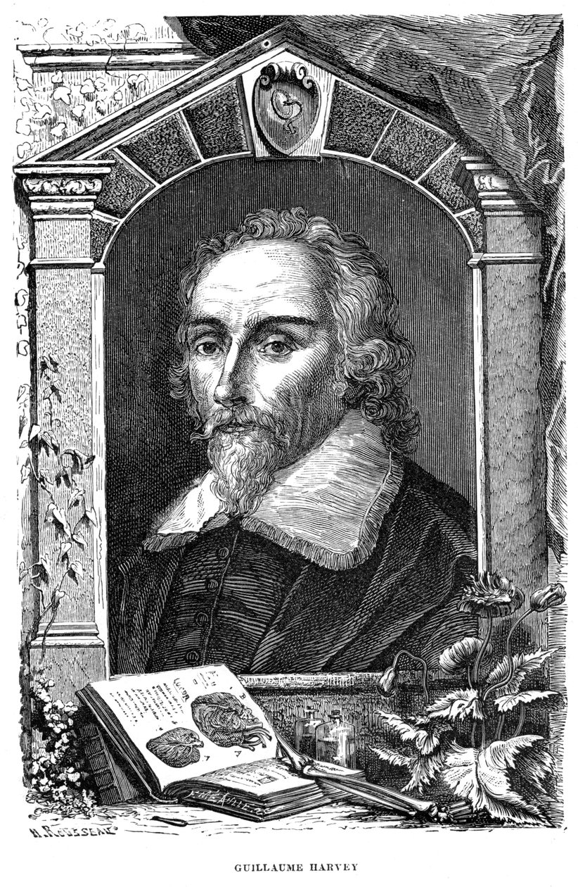 William Harvey 1578-1657 engelsk læge, c1600-tallet af Unbekannt