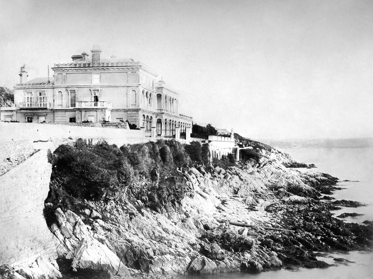 Vintervilla, c1882 af Unbekannt