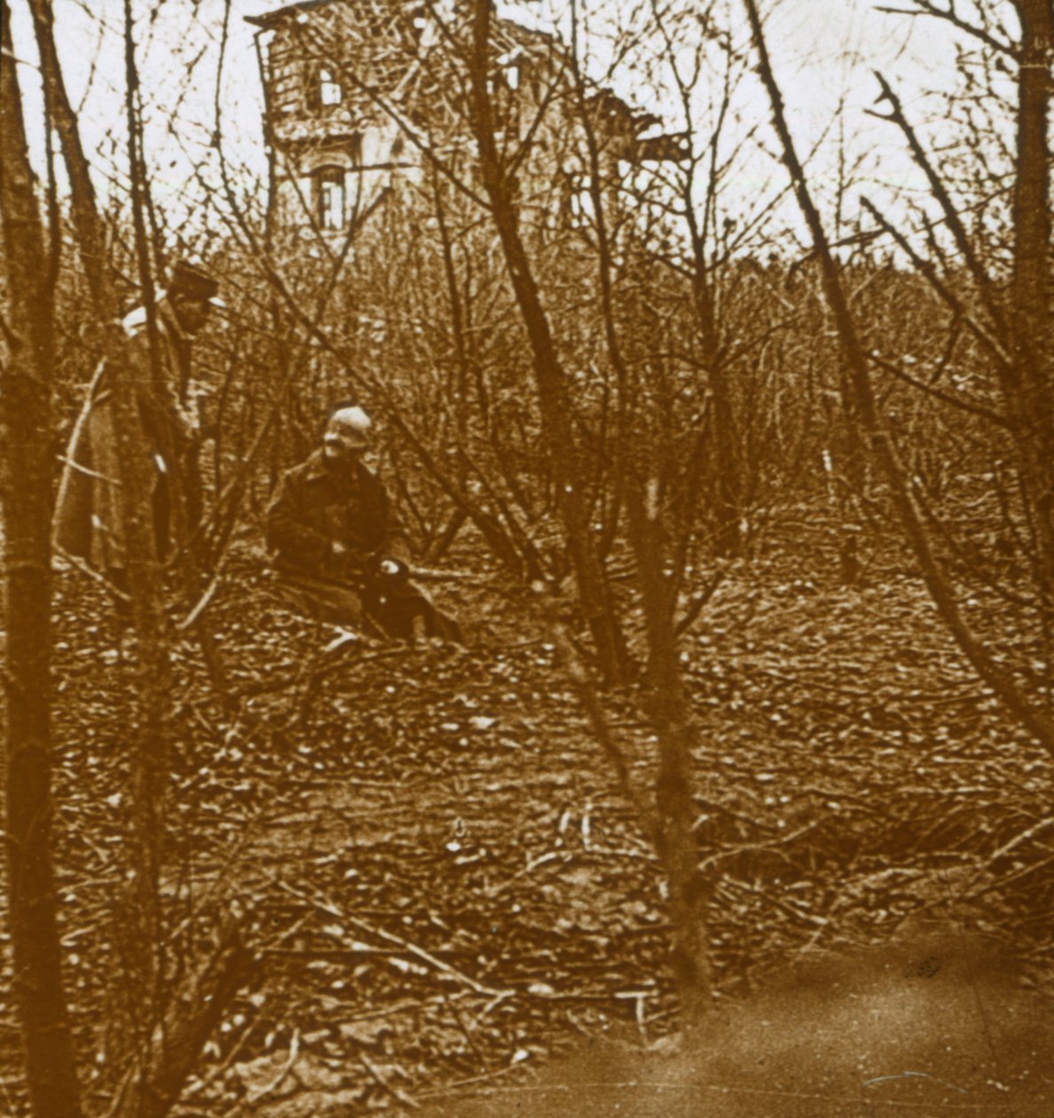 Træ, c1914-c1918 af Unbekannt