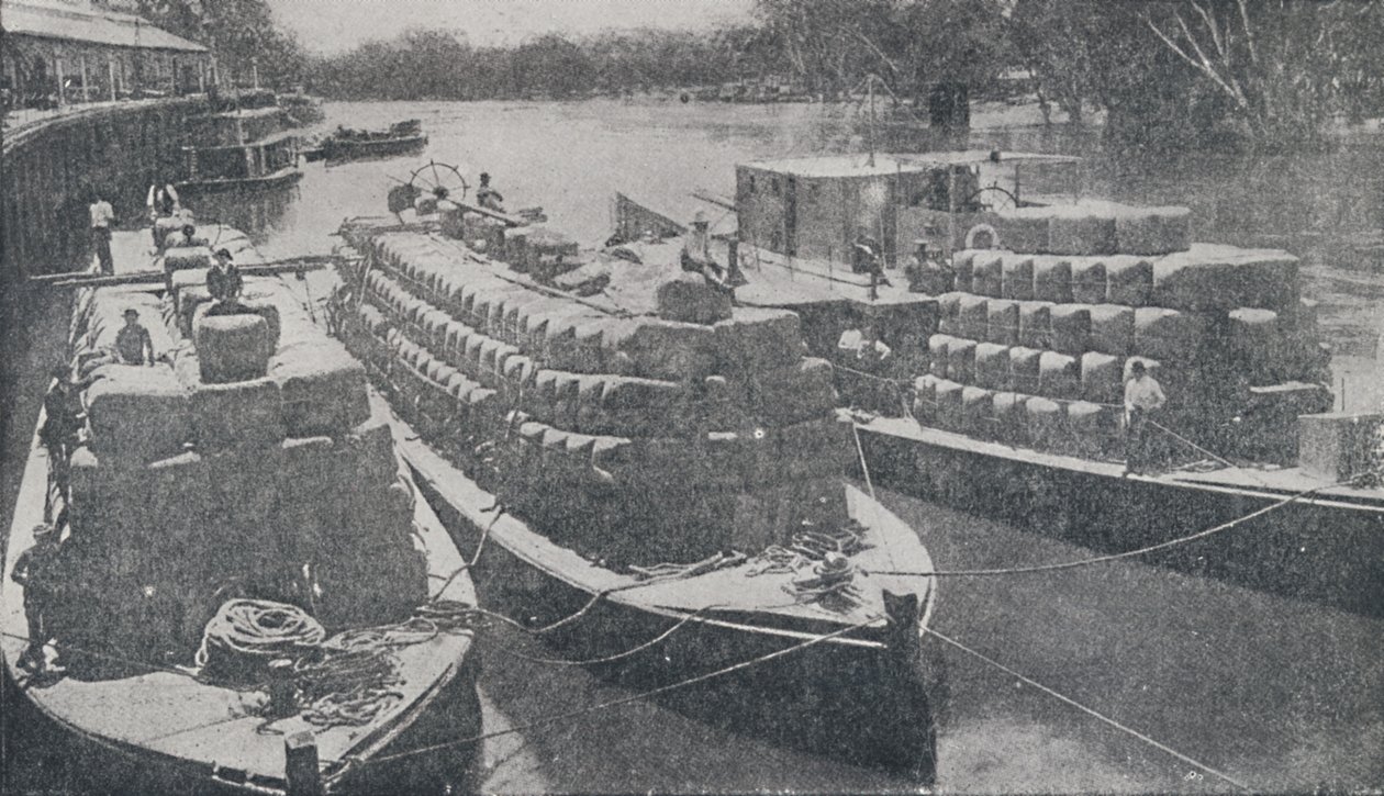 Uldpramme på Murray River, 1923. af Unbekannt