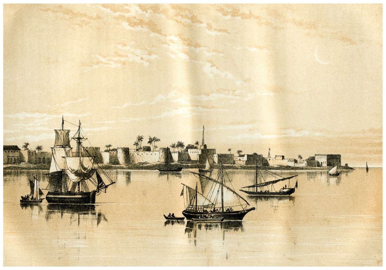 Zanzibar fra havet, 1883 af Unbekannt