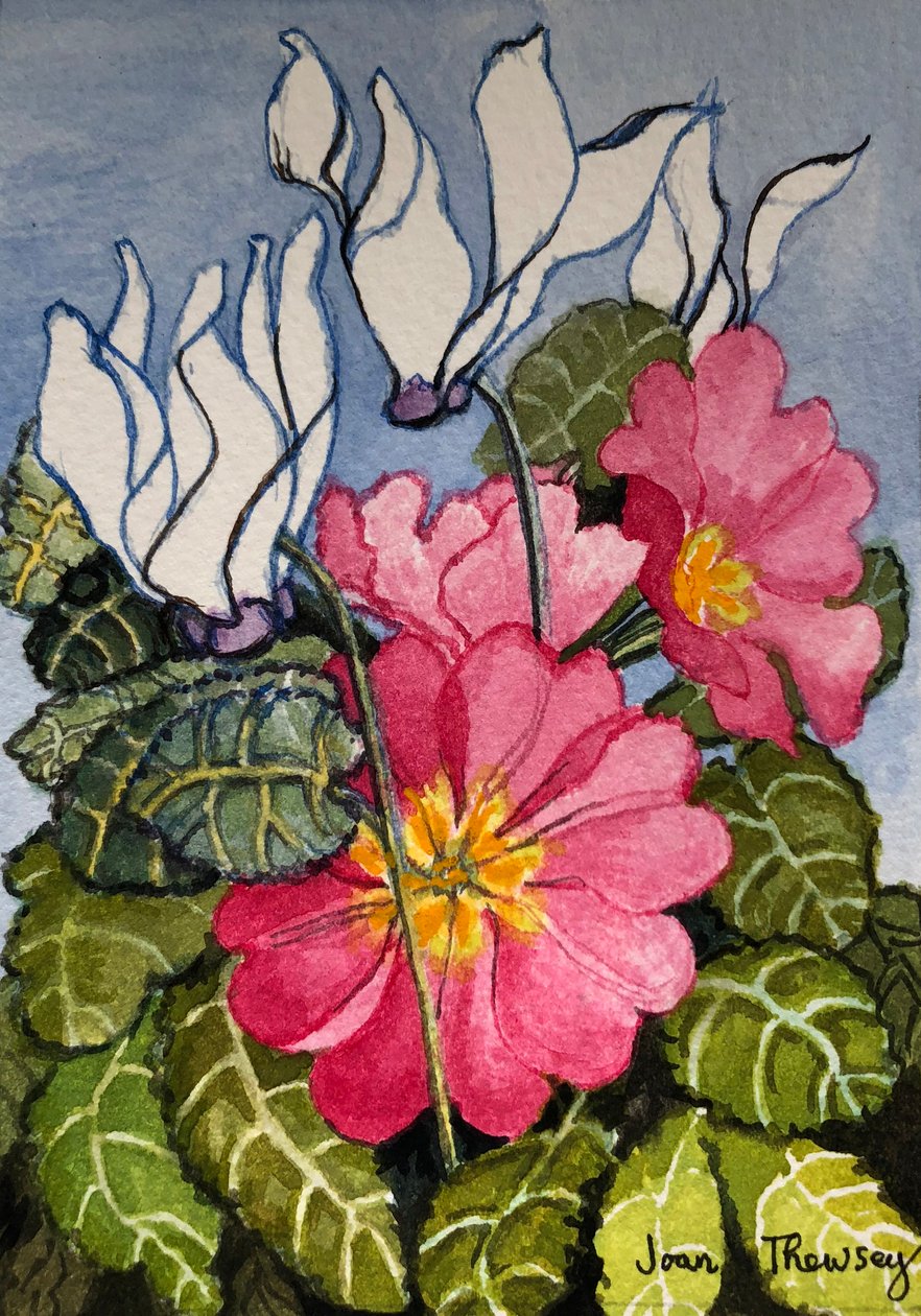 Cyclamen og Primrose, af Unbekannt Unbekannt