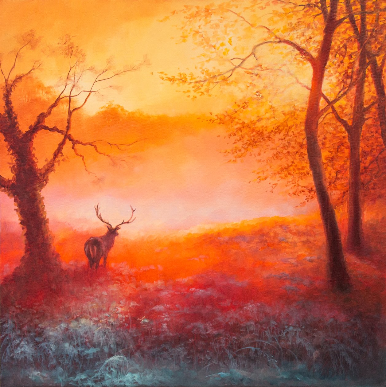 First Light, 2017, af Unbekannt Unbekannt