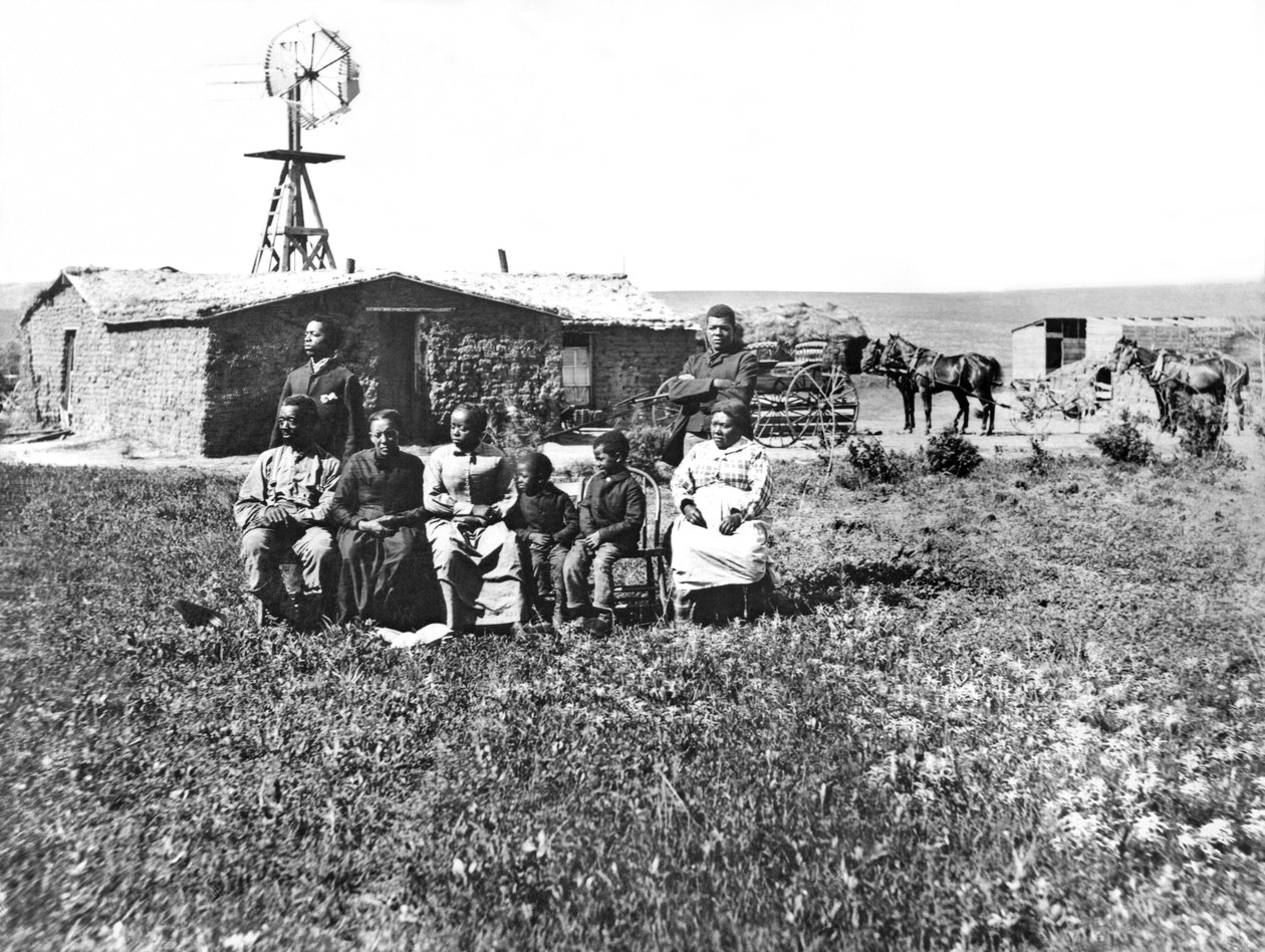 Pioneer Family Portrait, Custer County, Nebraska, 1888 af Unbekannt Unbekannt