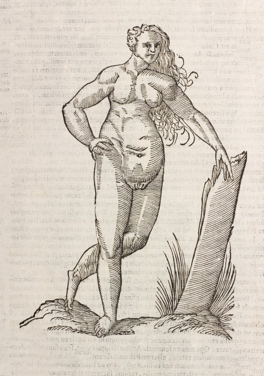 Androgynos af Unbekannt