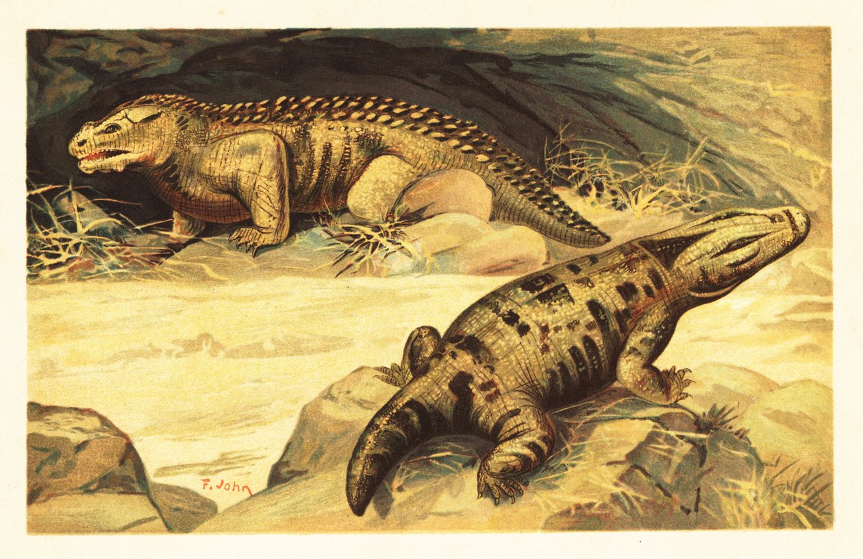 Mastodonsaurus og Pareiasaurus.1908 (litografi) af Unbekannter Künstler