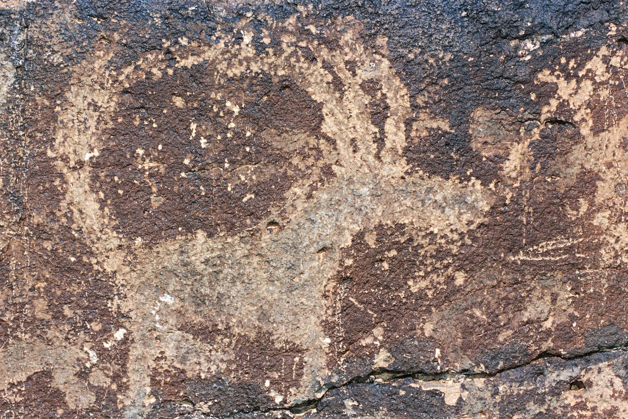 Mongoliet, Gobi-ørkenen, klippestik af Benjamin Baud