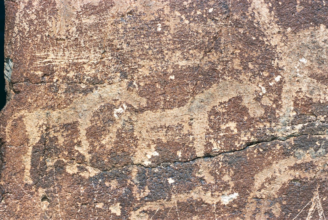 Mongoliet, Gobi-ørkenen, klippestik af Benjamin Baud