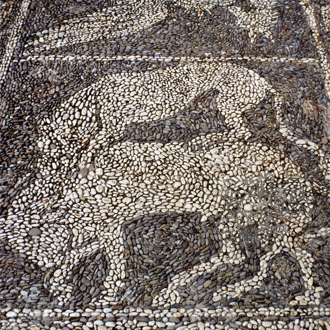 Panter angriber en tyr (stenmosaik) af Unbekannt