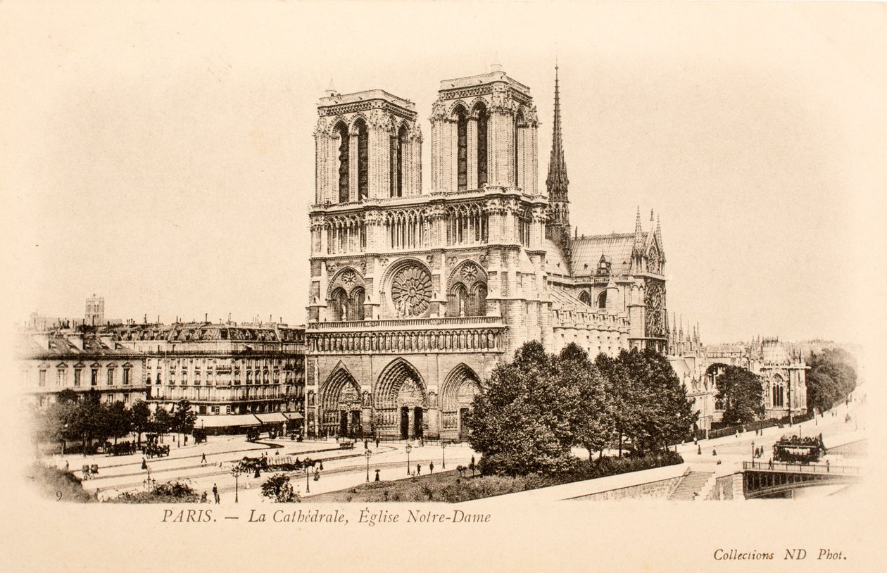Postkort / Notre Dame / Paris / Seine / Ile de France / Frankrig af William M. Timlin