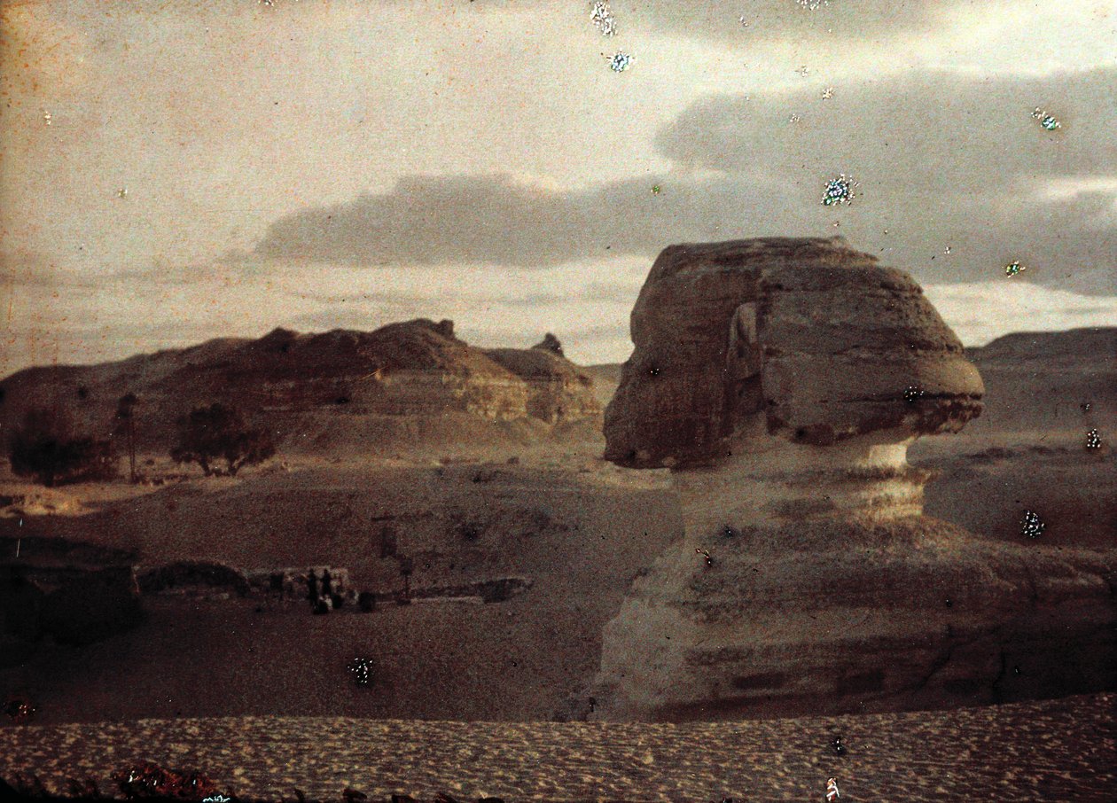 Sphinx af Unbekannter Künstler