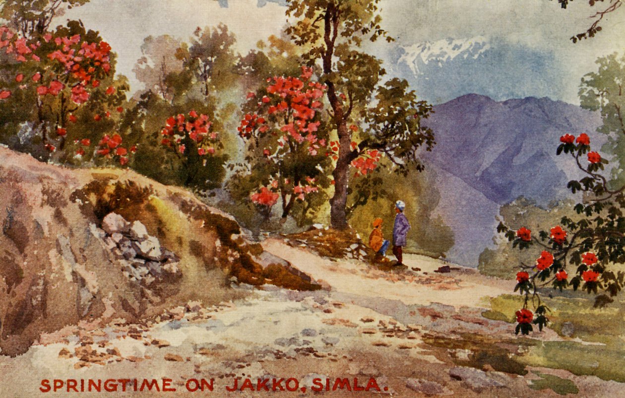 Forår på Jahko, Simla, Indien af Unbekannter Künstler