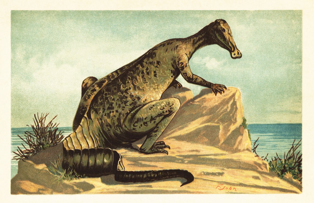 Trachodon mirabilis, uddød hadrosaurad dinosaur.1908 (litografi) af Unbekannter Künstler