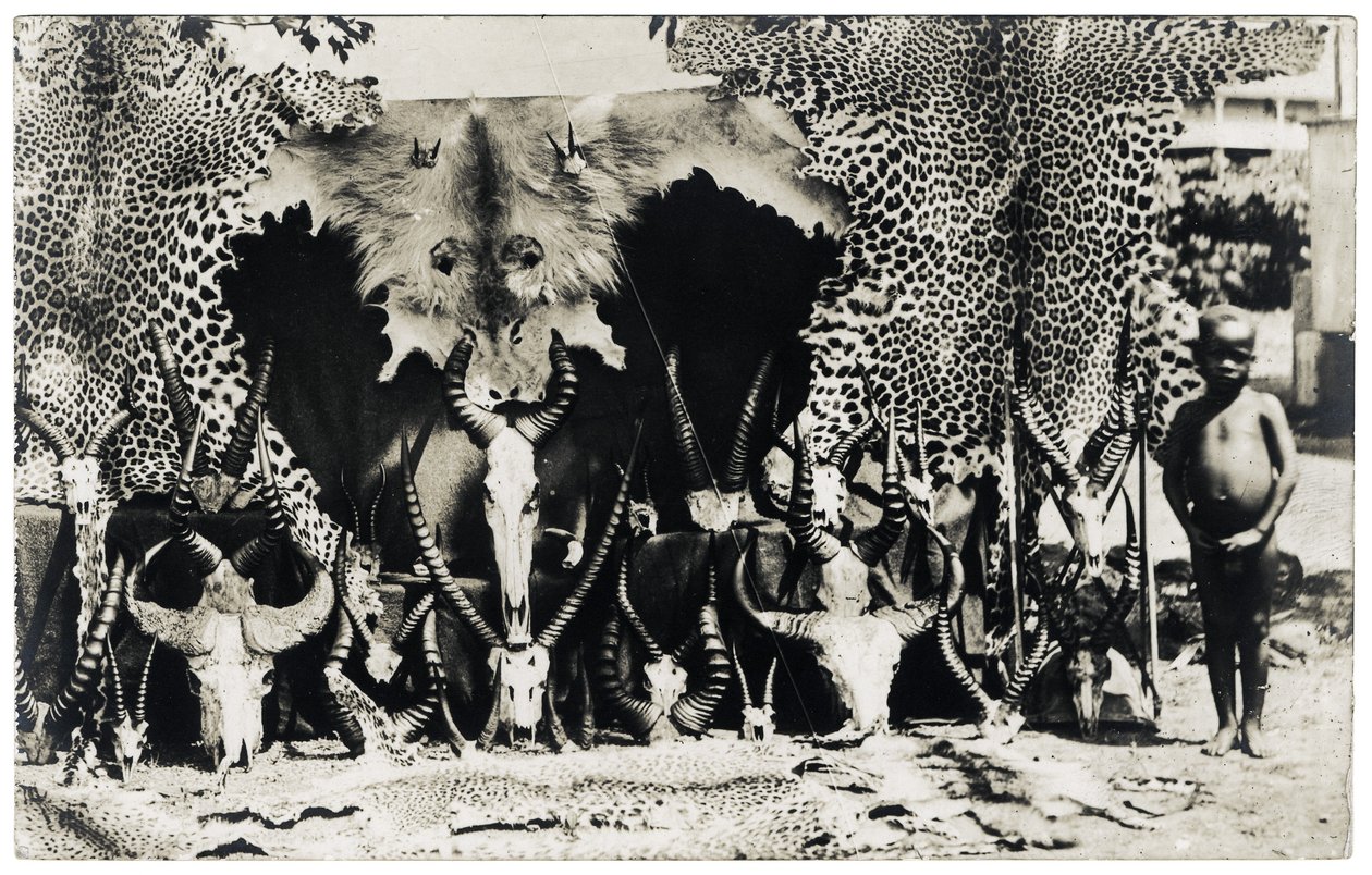 Trofæer, ca. 1910 (s/h-billede) af Unbekannter Künstler