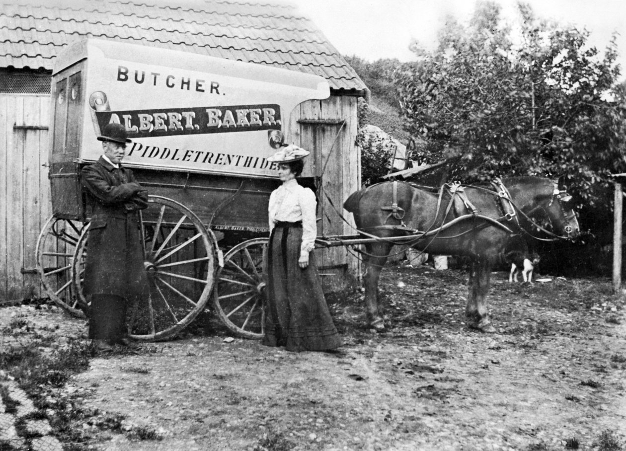 Storbritannien: En slagtervogn. Piddletrenthide, c1900 af Unbekannt