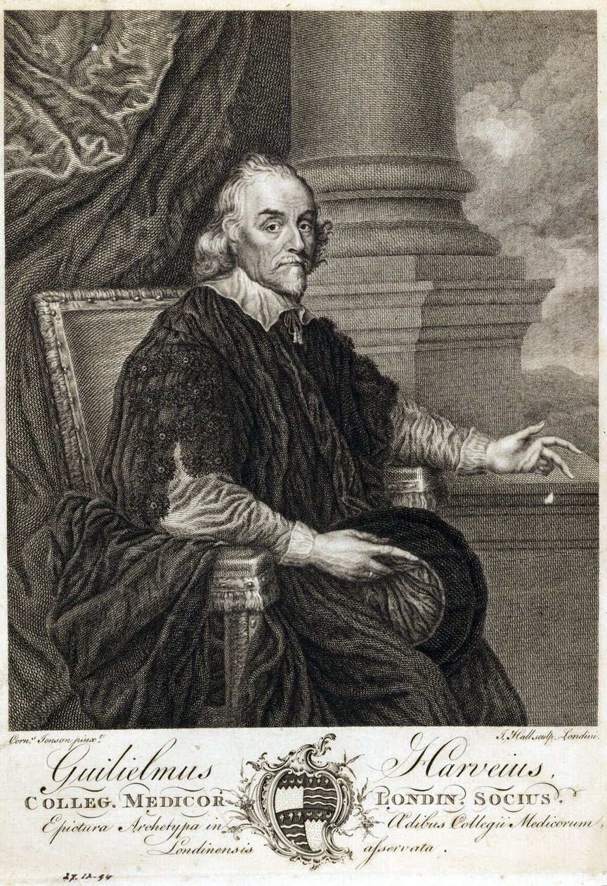 William Harvey, engelsk læge af Unbekannt