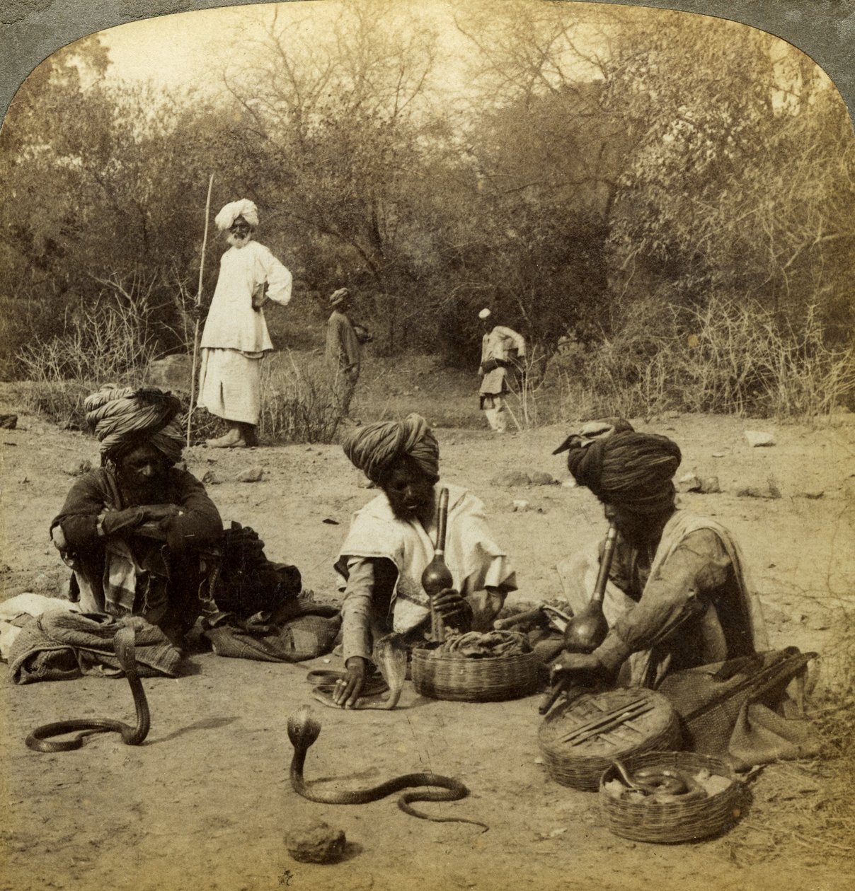 Slangetæmmere, Delhi, Indien. af Underwood and Underwood