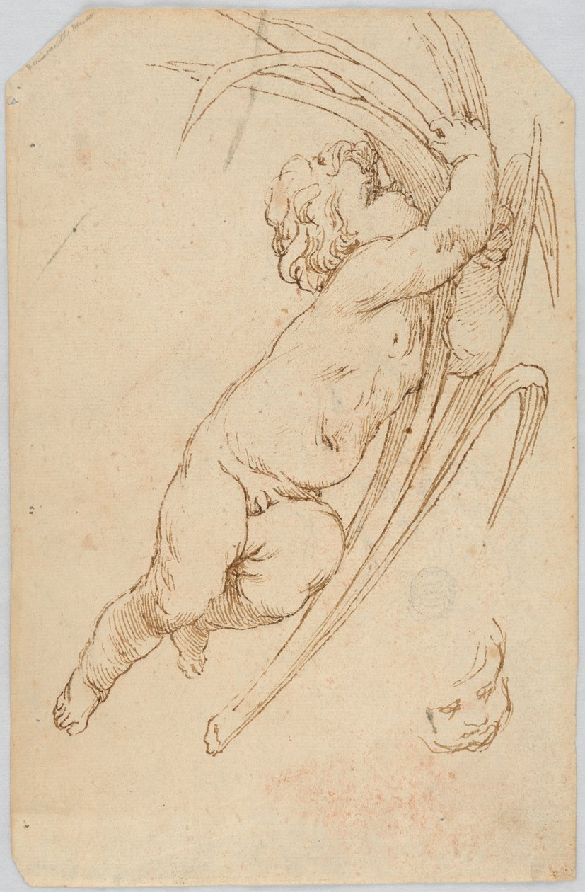 Tegning (Italien) af Unknown