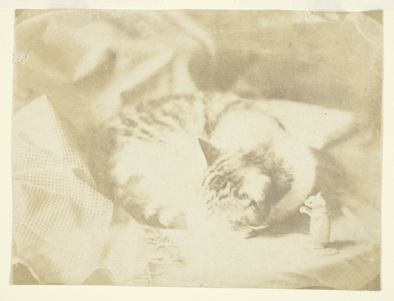 Fru Craiks kat af Unknown