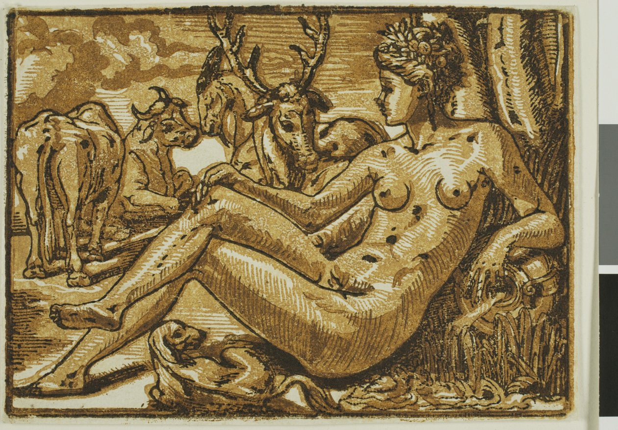 Nymfe af Fontainebleau af Unknown